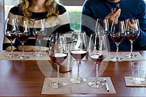 Wine tasting in Langhe italy photo