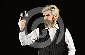 Wine tasting. Male skilled sommelier estimates alcoholic drink. red wine in long-stemmed wineglasses. bearded man