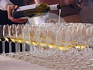 Wine tasting, a number of glasses of white wine
