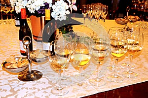 Wine tasting, wine glasses and bottles of wine