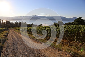 Wine trails- wine country tours all over the world