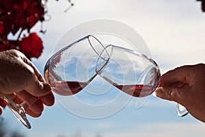 Wine tasting. Riebeek kasteel, South Africa photo