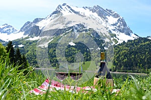 Wine and vegetables served at picnic