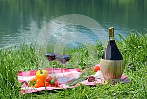 Wine and vegetables served at a picnic