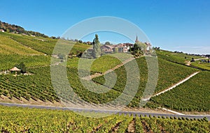 Wine Village Fechy in the vineyards, Fechy, Vaud, Switzerland