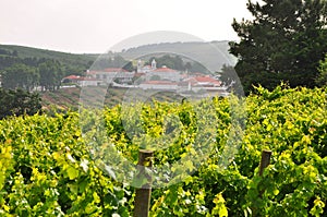 Wine village Obidos Lisbon Portugal photo