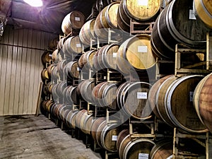 Wine vineyard barrels