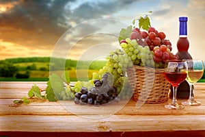 Wine and vineyard in sunset.Colorful grapes in basket. Barrel, red and white wine bottle and glass on wooden table