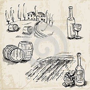 Wine, Winemaking and Vineyard photo