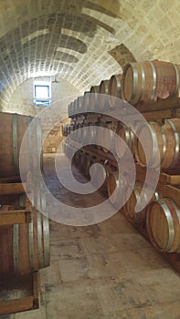 Wine winery casks