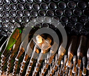 Winebottles in the cellar