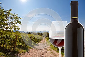 Wineglass and bottle of red wine