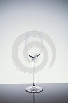 WIneglass on the light background in light cold toning