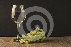 Wineglass with white wine and grape/wineglass with white wine and grape on a dark background, copy space