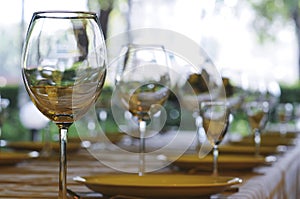 Wineglasses on the table