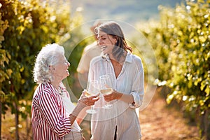 Winegrower family in vineyard tasting wine