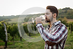 Winegrower tasting wine in vineyard