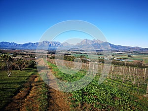 Winelands