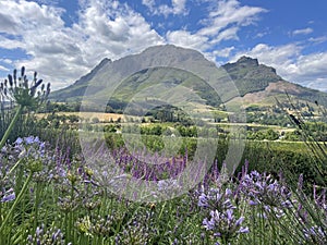 Winelands Stellenbosch Delaire Graff Estate South Africa