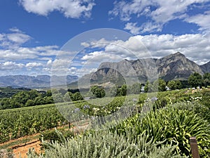 Winelands Stellenbosch Delaire Graff Estate South Africa