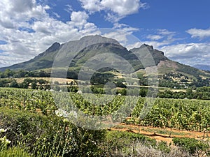 Winelands Stellenbosch Delaire Graff Estate South Africa