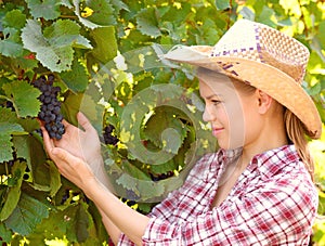 Winemaker