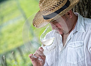 Winemaker drinks white wine