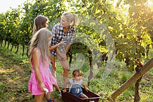 Winemaker family together in vineyard