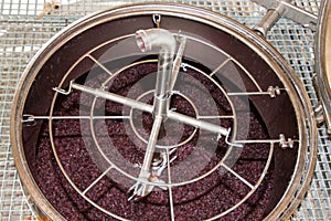 Winemaker harvest winemaking vats for fermenting grapes red