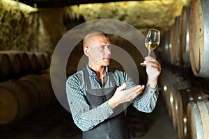 Winemaker inspecting quality of wine in winery cellar