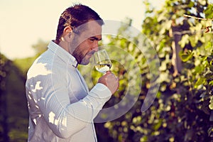 Winemaker tasting white wine