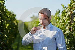 Winemaker tasting wine