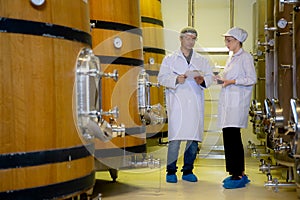Winemaker team checking and examining producing wine at winery in factory.