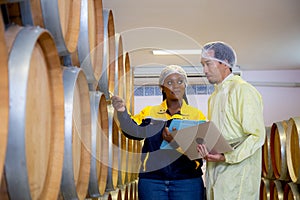 Winemaker team checking and examining producing wine at winery in factory.