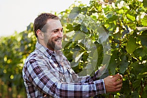 Winemaker in the vineyard