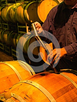 Winemaker working in the winery