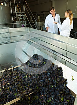 Winemakers controlling crushing of grapes