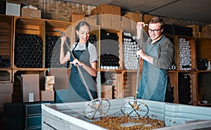 Winemakers mixing and shaking grapes during the wine making process inside of a distillery. Cellar owners use a steel