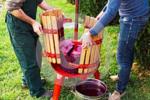 Winemakers open wine press machine with red must, helical screw after picking up juice from grape must. Concept of small craft