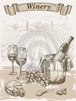 Winemaking. A bottle of red wine on a vineyard background