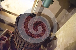 Winemaking. Old wooden wine press with must inside. Pressing of