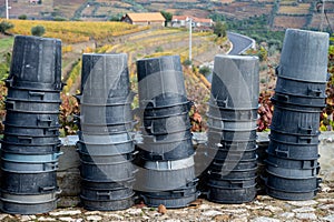 Winemaking in oldest wine region in world Douro valley in Portugal, plastic buckets for harvesting of wine grapes, production of