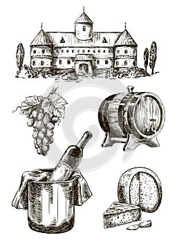 Winemaking. set of vector sketches on white