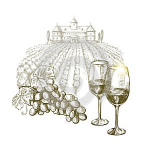 Winemaking .Two glasses of wine and a vine on a vineyard background