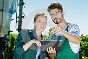 Winemarkers in vine rows checking grapes quality