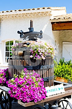 Winepress