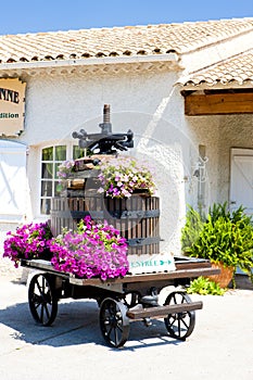 winepress, Bandol, Provence, France