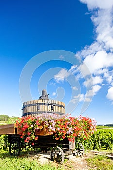 Winepress, Burgundy