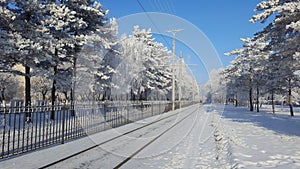 Winer Siberian city and snow road