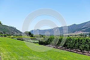 Wineries in Franchhoek area, Cape Town